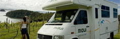 Browse Campervans