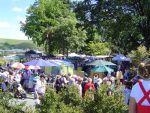 Geraldine Arts and Plants Festival 