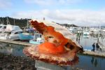 Whitianga Scallop Festival